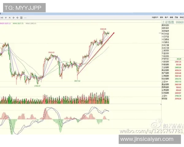 南京篮球队防守策略深度解析与战术应用探讨